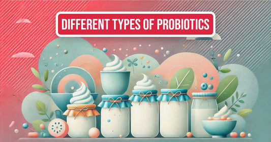 Different Probiotics For Yogurt And Their Benefits