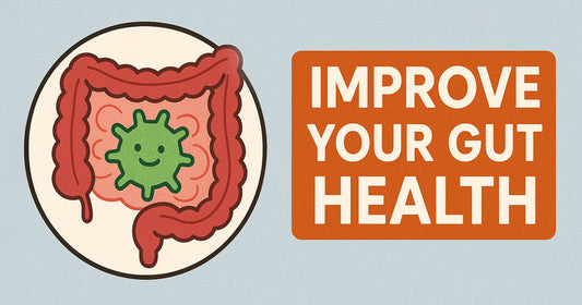 Feeling Sluggish? Your Gut Might Be the Reason!