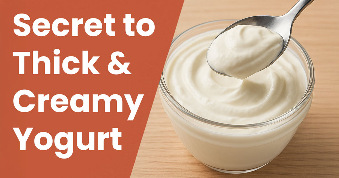 The Secret to Thick & Creamy Greek Yogurt