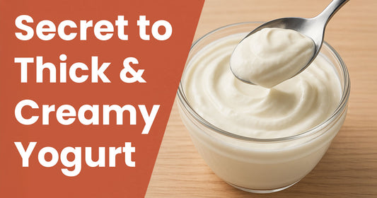 The Secret to Thick & Creamy Greek Yogurt