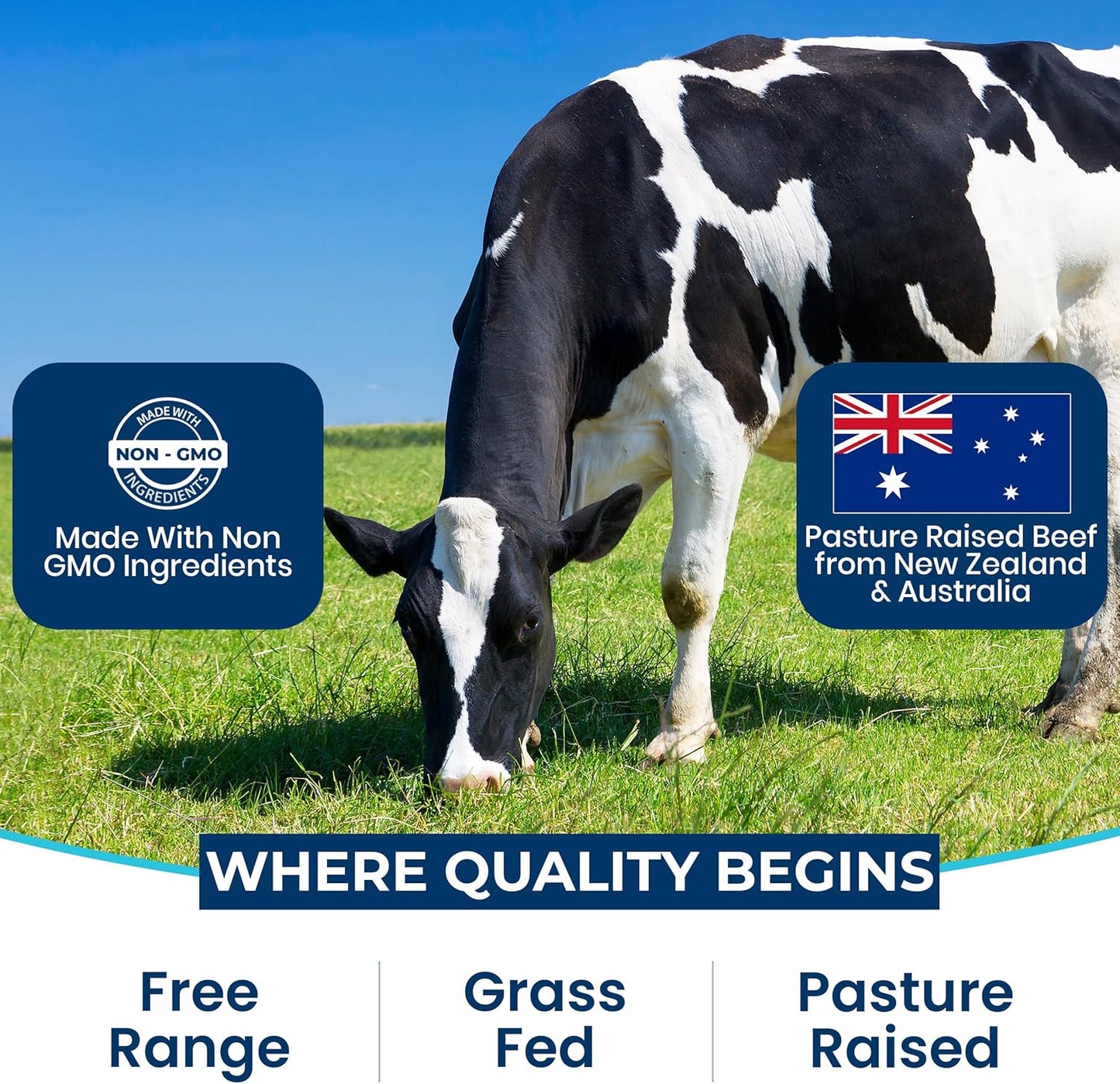 Ultimate Grass Fed Beef Organs
