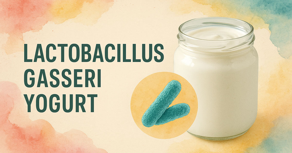 Unlock the Health Benefits of Lactobacillus Gasseri Yogurt with Ease ...