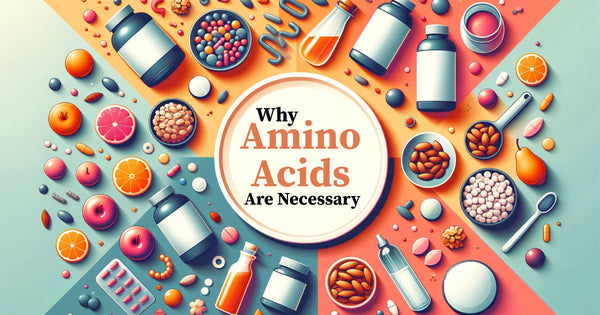 Why Amino Acids Are Necessary for Your Health and Wellness