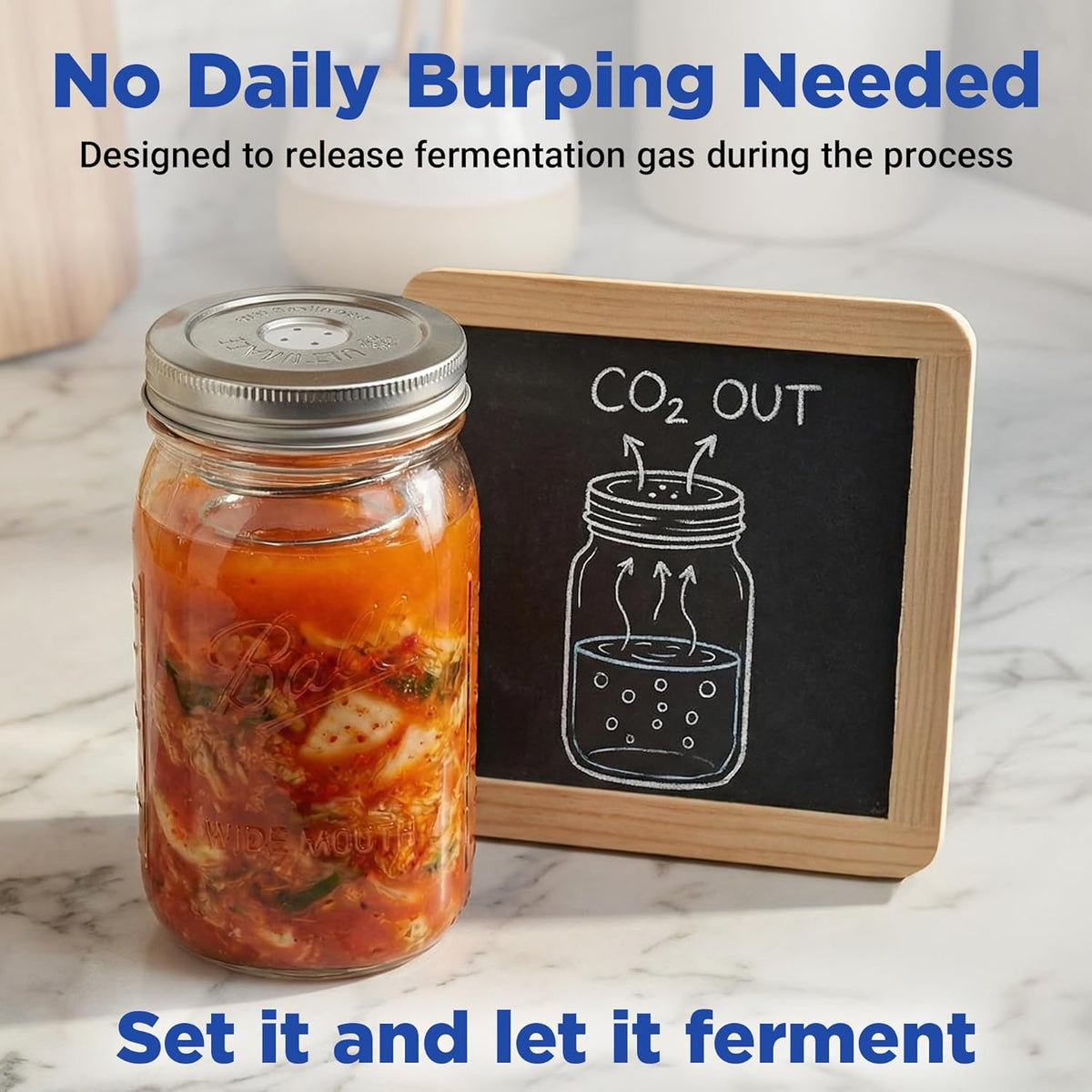 Fermentation Kit with Mason Jar Weights & Lids