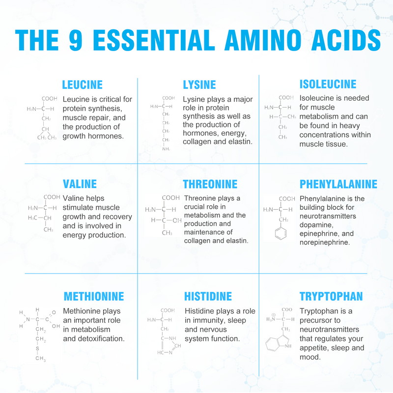 Ultimate Essential Amino Acids - Ultimate
